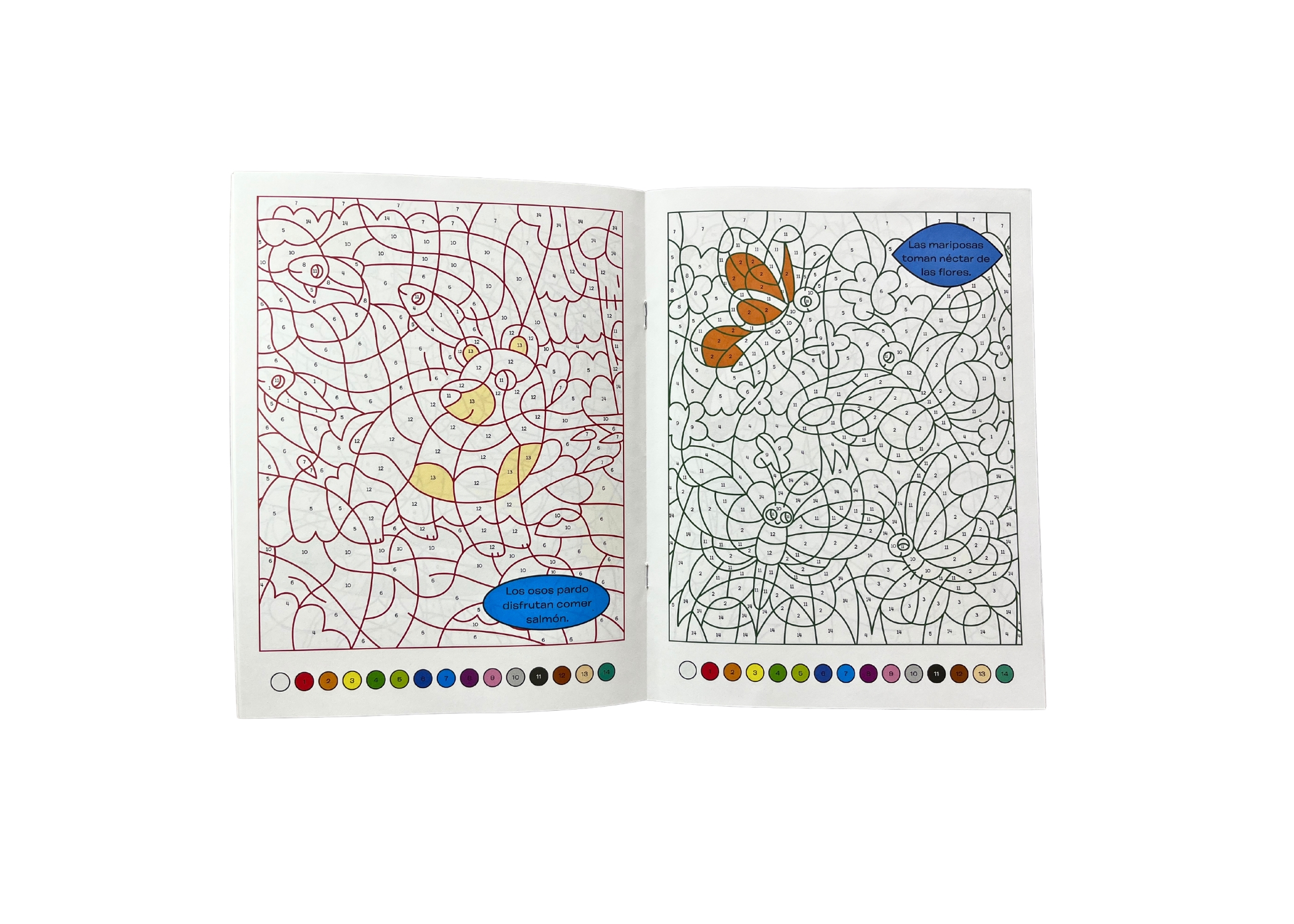 Pinta Por Numero - Image 3